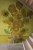 b668ddd6155e0188cb9e54cafdcc65ed