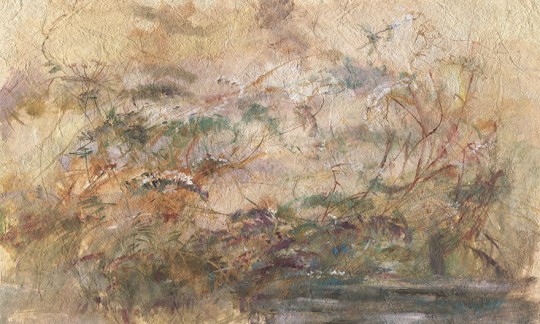 Wonderwall 35 0646 04 Bezza - mural w polne kwiaty