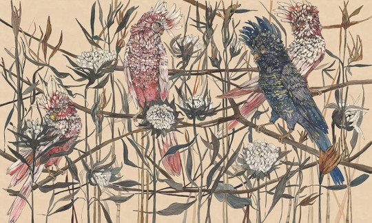 Wonderwall 35 0567 01 Makani - mural w papugi i rośliny