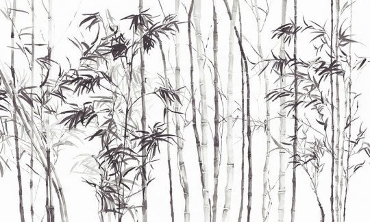 Wonderwall 35 0573 10 Jawa - mural w czaple