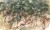81ecb5a829675301aea519f860cd3841