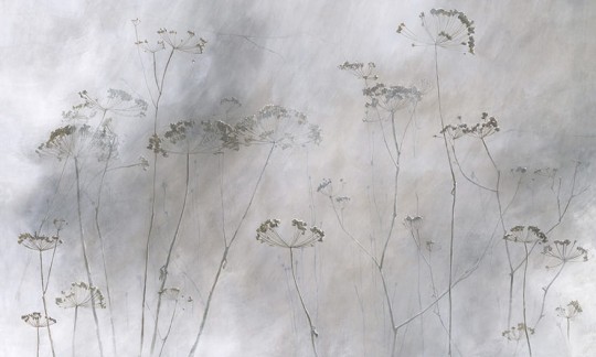 Wonderwall 35 0568 01 Pianta - mural w polne rośliny