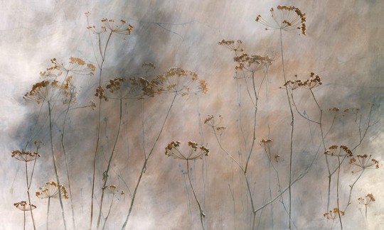 Wonderwall 35 0568 04 Pianta - mural w polne rośliny