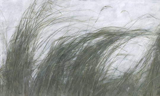 Wonderwall 35 0642 00 Mist - mural w trawy