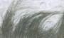 dde04754c2a0b6df6dfa42810d018340
