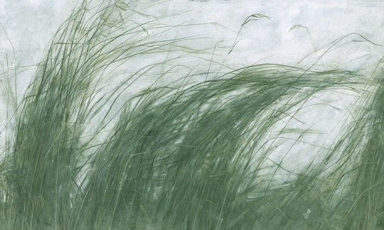 Wonderwall 35 0642 08 Mist - mural w trawy