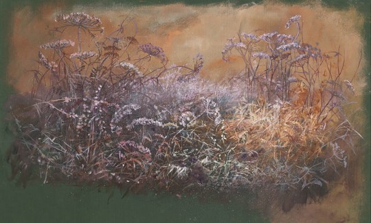 Wonderwall 35 0638 04 Erbe - mural w polne rośliny