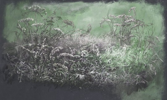 Wonderwall 35 0638 08 Erbe - mural w polne rośliny