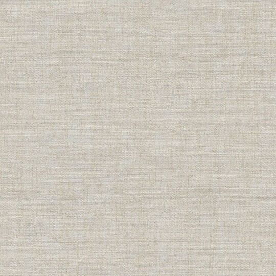 Cristiana Masi 39042 Pictura - szara tapeta strukturalna