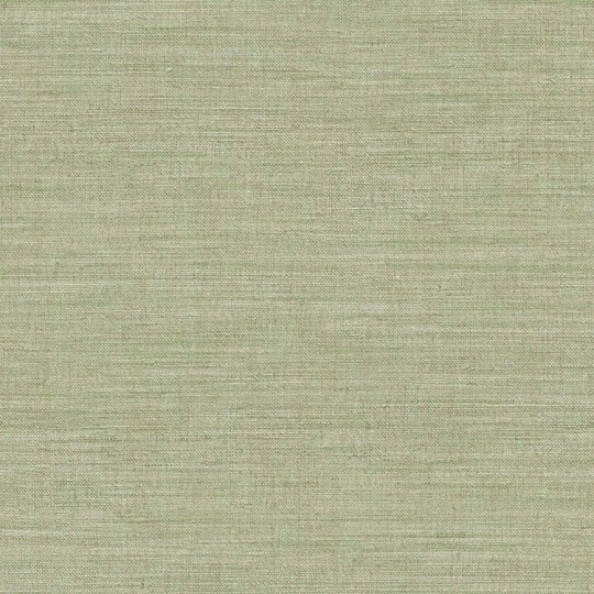 Cristiana Masi 39045 Pictura - zielona tapeta strukturalna