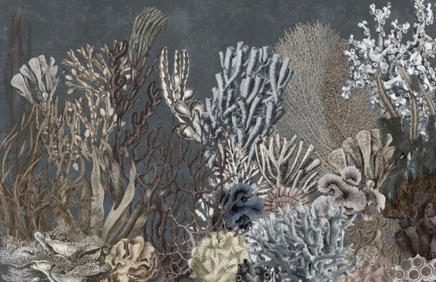 Wall & More 2412 13B Coral - mural w koralowce