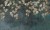 112c343e7a09a325c36dd036b1966ebe