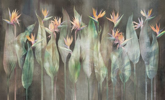 Wall & More 2472 27B Sterlicia - mural w egzotyczne rośliny