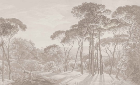 Wall & More 2482 11A Umbria - mural w śródziemnomorski krajobraz