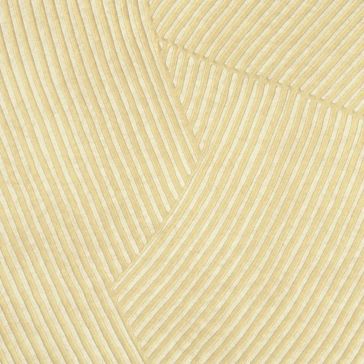 c2199c1ff60536d36c34af0d1f5dc256