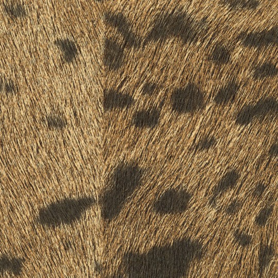 Elitis VP 653 07 Sauvages Panthère - tapeta strukturalna w panterkę