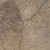 ab54cd72c29fe249502e374c9e4bace0