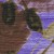 9334871de48c47aa0b0b968d014eb62e