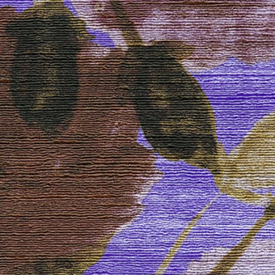 Elitis VP 855 03 Talamone Una bella storia - tapeta w kwiaty o strukturze splotu jedwabnego