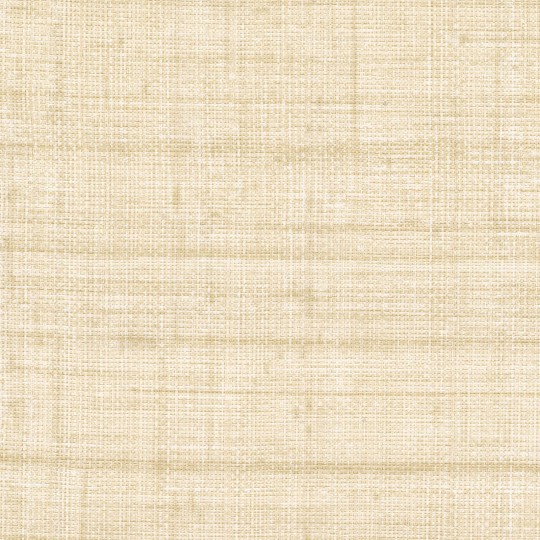 Elitis VP 983 04 Elitis Matières végétales Abaca - tapeta z włókien abaki