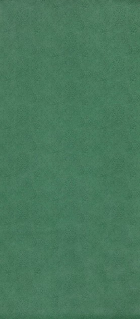 Osborne & Little W7970-02 Paramo Vinyls Margay Emerald - tapeta w cętki ocelota nadrzewnego