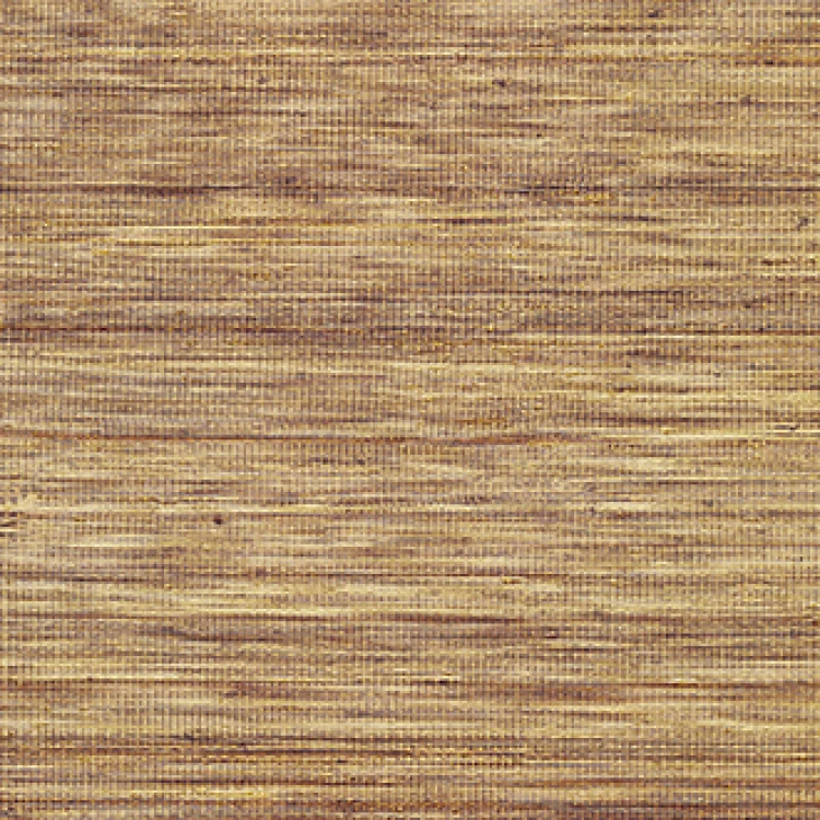 2ec68a91b865bb8f7d7e29f793324d02