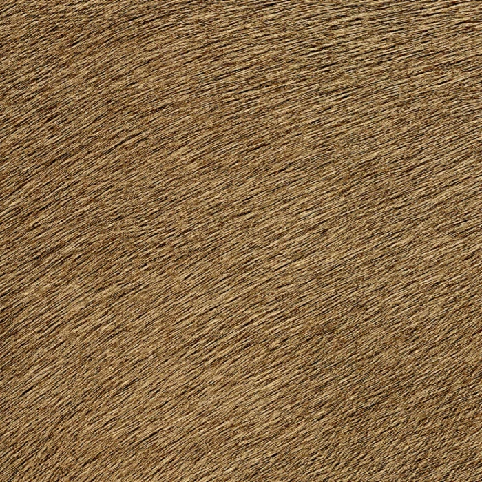 d6ef902051cbb6a8535383a10f60eda4