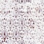 91b1a7e4ca54dc71539bb00facebb02a