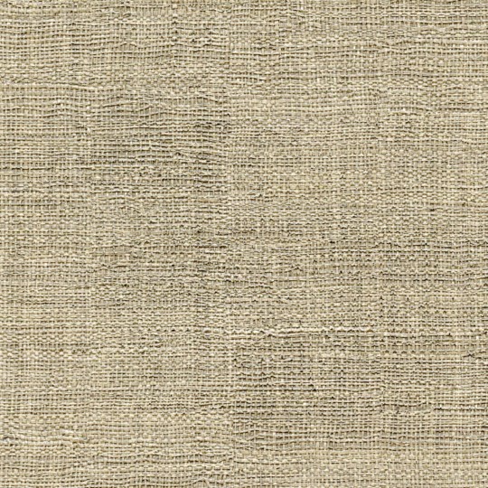 Elitis VP 631 06 Raffia & Madagascar Madagascar - tapeta imitująca metaliczne włókno roślinne