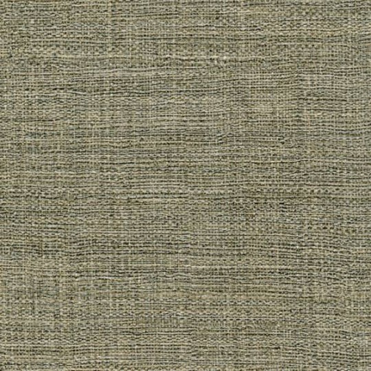Elitis VP 631 19 Raffia & Madagascar Madagascar - tapeta imitująca metaliczne włókno roślinne