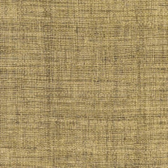 Elitis VP 631 40 Raffia & Madagascar Madagascar - tapeta imitująca metaliczne włókno roślinne