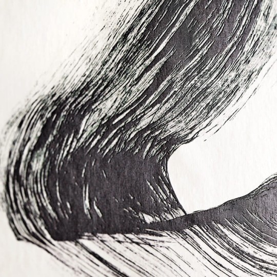 Black Edition W955/02 Tsauri Avocet - mural artystyczny w pociągnięcia pędzla