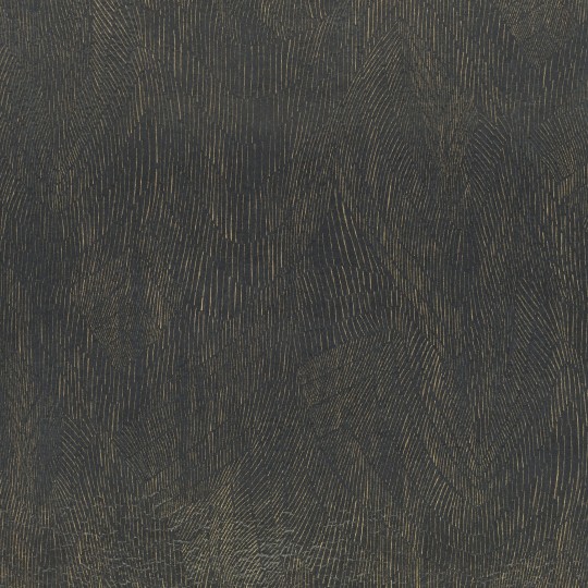 Black Edition W950/02 Tsauri Onuma Shadow - tapeta w delikatne linie
