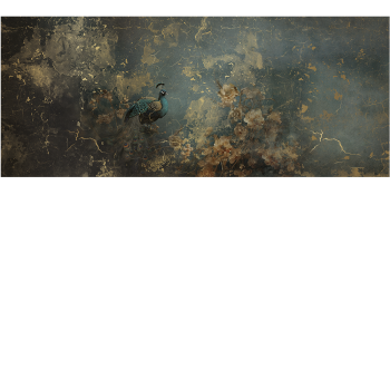 2a83a06d3baf56b682490c30b0ca5b21