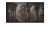 438e16a09799c686c08b2f34fb073c3b