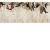 c3a35af4c67bb1bba1b6fb7e46e03eb3