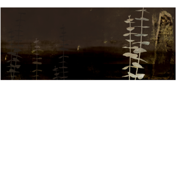 3467d84dc96dd50decbb200bd5f3275e