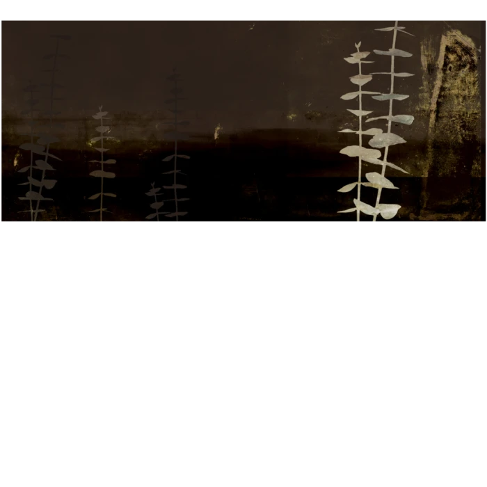 3467d84dc96dd50decbb200bd5f3275e