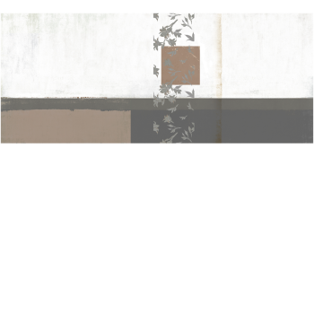 5310ffa5685759c5ea266ff2dffafed9