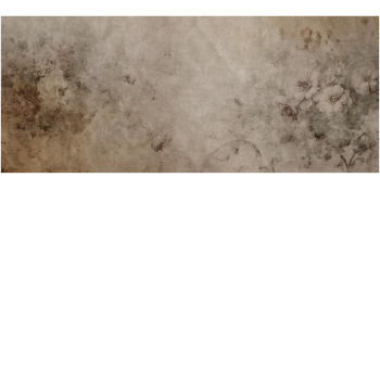 d81eebbdfb764a3645d3e7e6ef739262