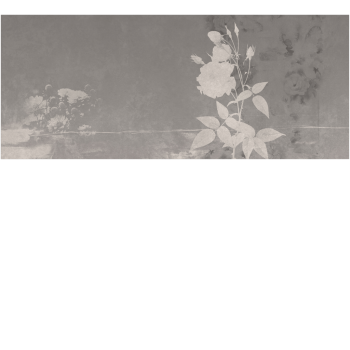 50601b5d187db22c534a093ad56f390d