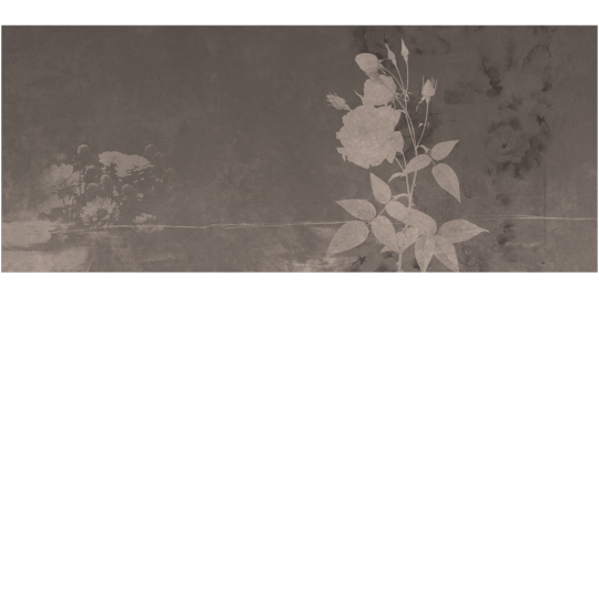Yo2 SOT1.05.2 Soil Textures - mural w kwiaty na surowym tle