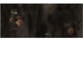 75fbbb6d96c8aa5847b53286e4fa97e9