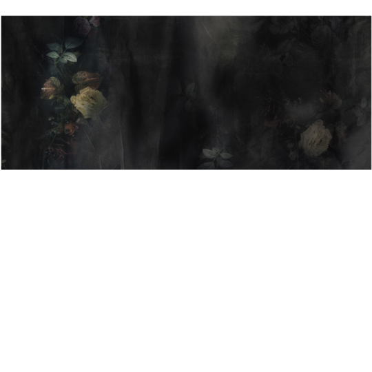 Yo2 FOG1.01.2 Form Grains - mural w kwiaty na ciemnym tle