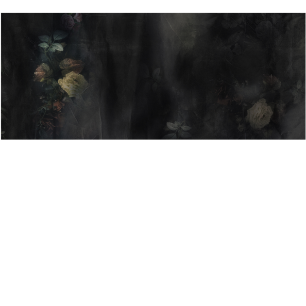 Yo2 FOG1.01.2 Form Grains - mural w kwiaty na ciemnym tle