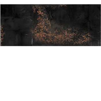 137157ee6d38503f1771eee090d53760