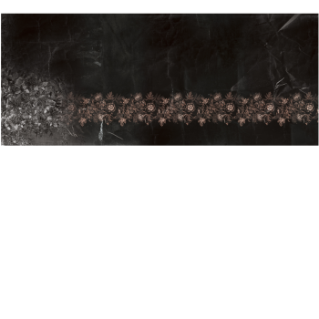 d79d65ab0f5a8c1ae8912181085f0d76