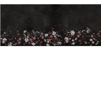 983524a12d34adaa92dd3637e901a0b8