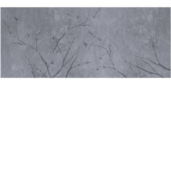 8737a9d633e65ab09bf976df379003b9