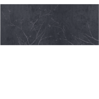 416ad19ee76300b689d8b8749dc0be3f